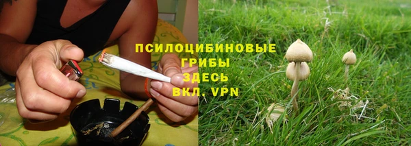 ALPHA PVP Алзамай