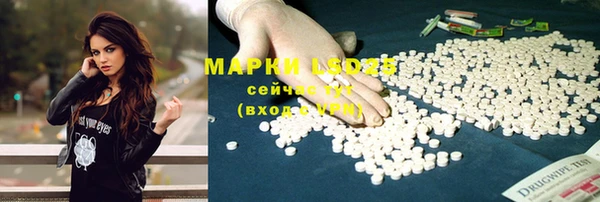ALPHA PVP Алзамай